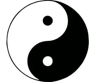 logo iy2